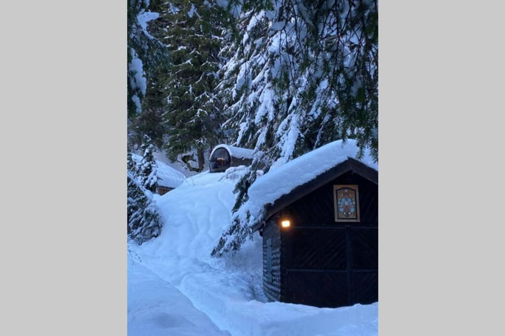 Large Premium Alpine Apartment For 4 To 8 People Vallorcine Exterior foto